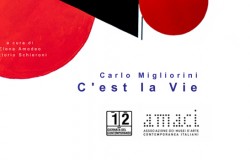 Made4Art - Carlo Migliorini Amaci